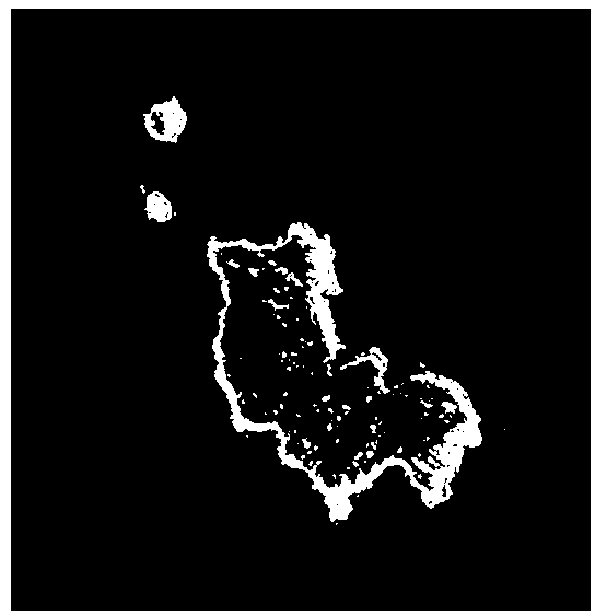 Island or reef coastline rapid obtaining method