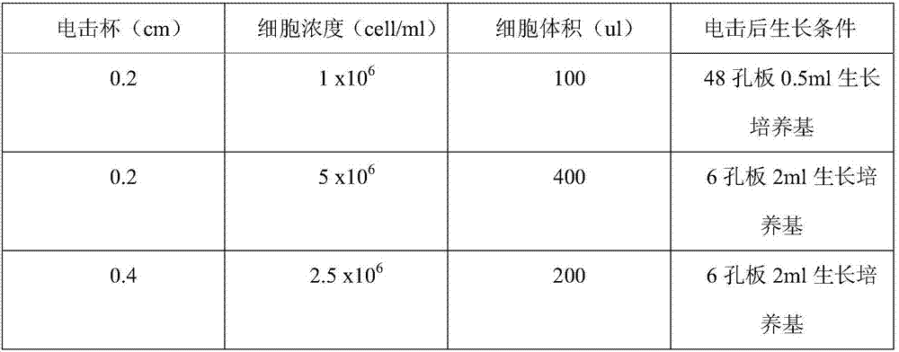 Stem-cell skincare composition and preparation and application methods thereof