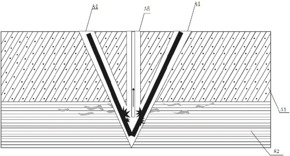 Method for exploiting shale gas by utilizing biomass energy heat power