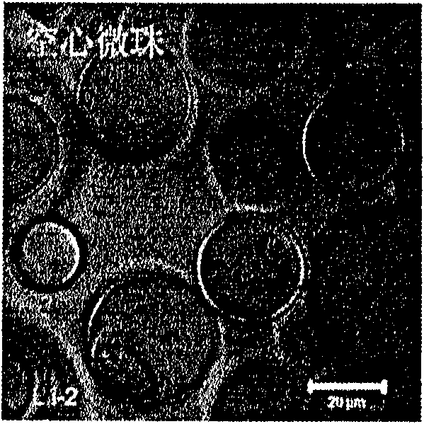 Structure of radioactive micro balls and preparation method