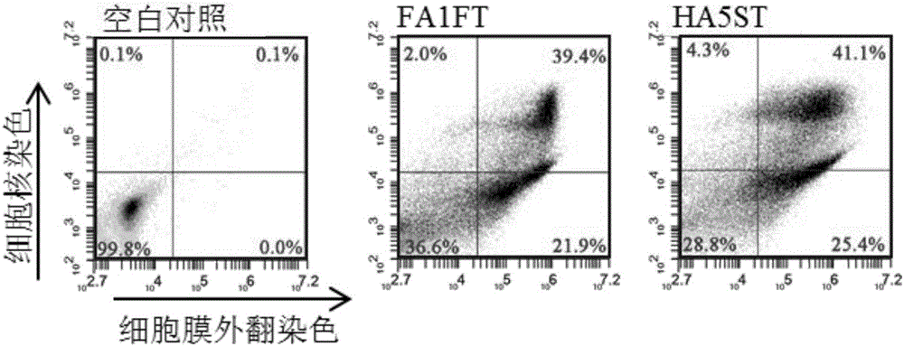 Novel gene engineering recombinant TRAIL fusion protein, and preparation method and use thereof