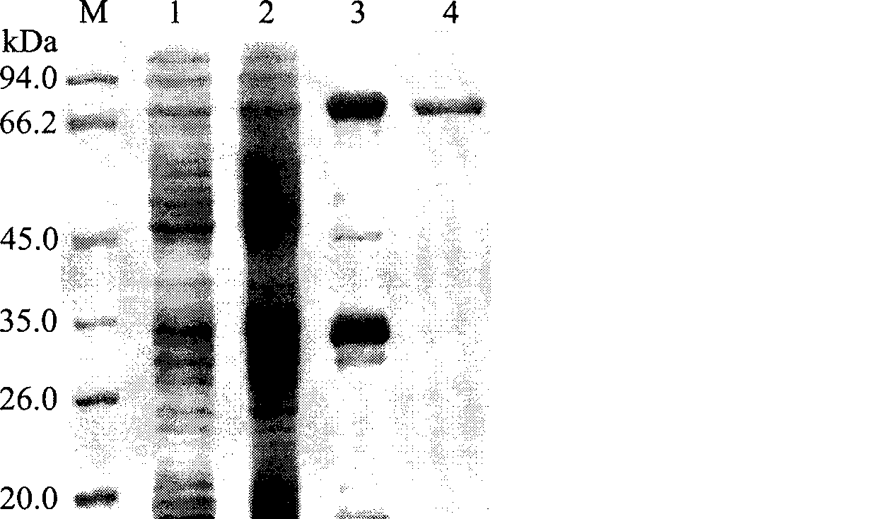 Method and kit for in-situ construction of gene mutation library