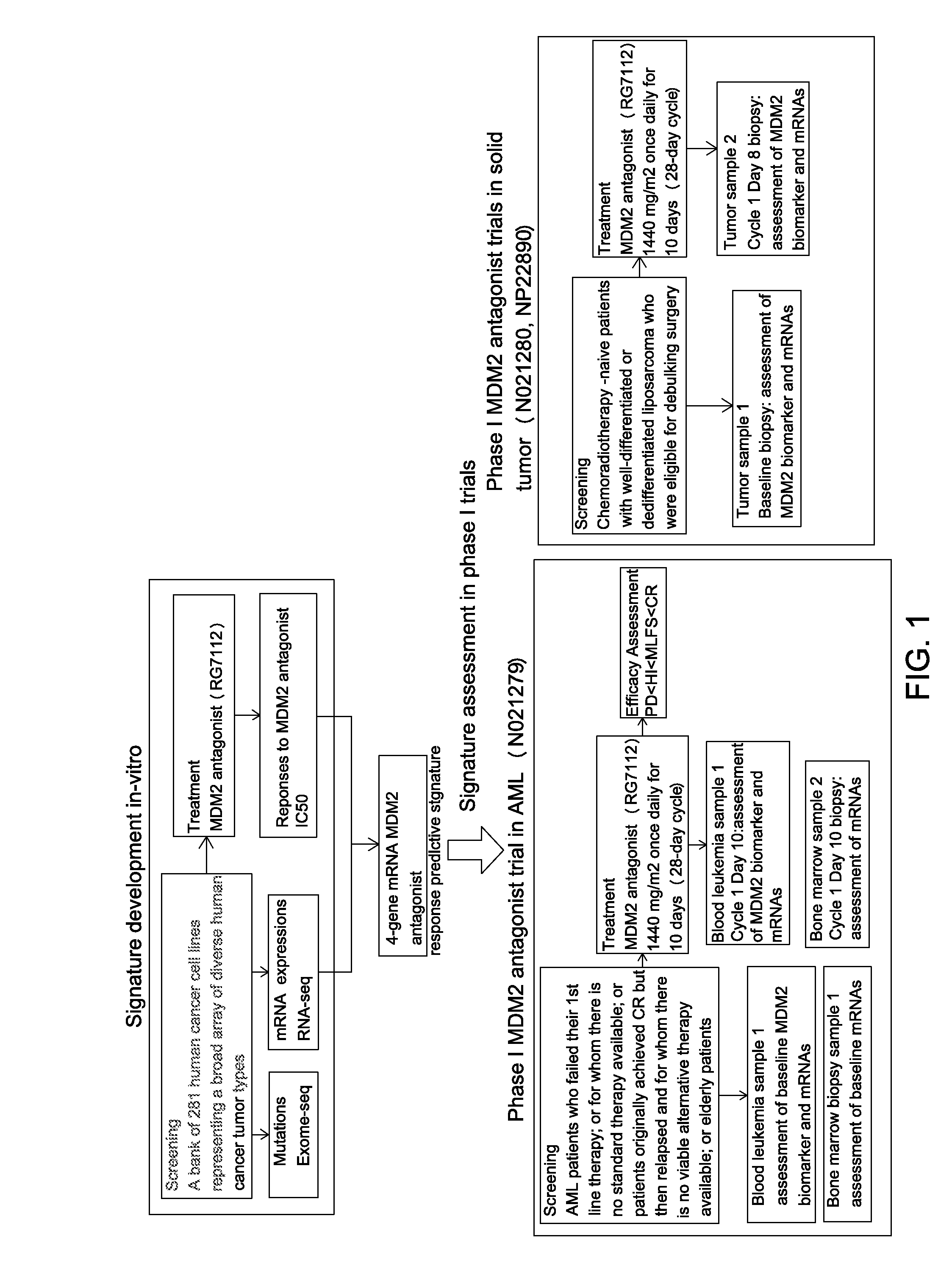 Mrna-based gene expression for personalizing patient cancer therapy with an MDM2 antagonist