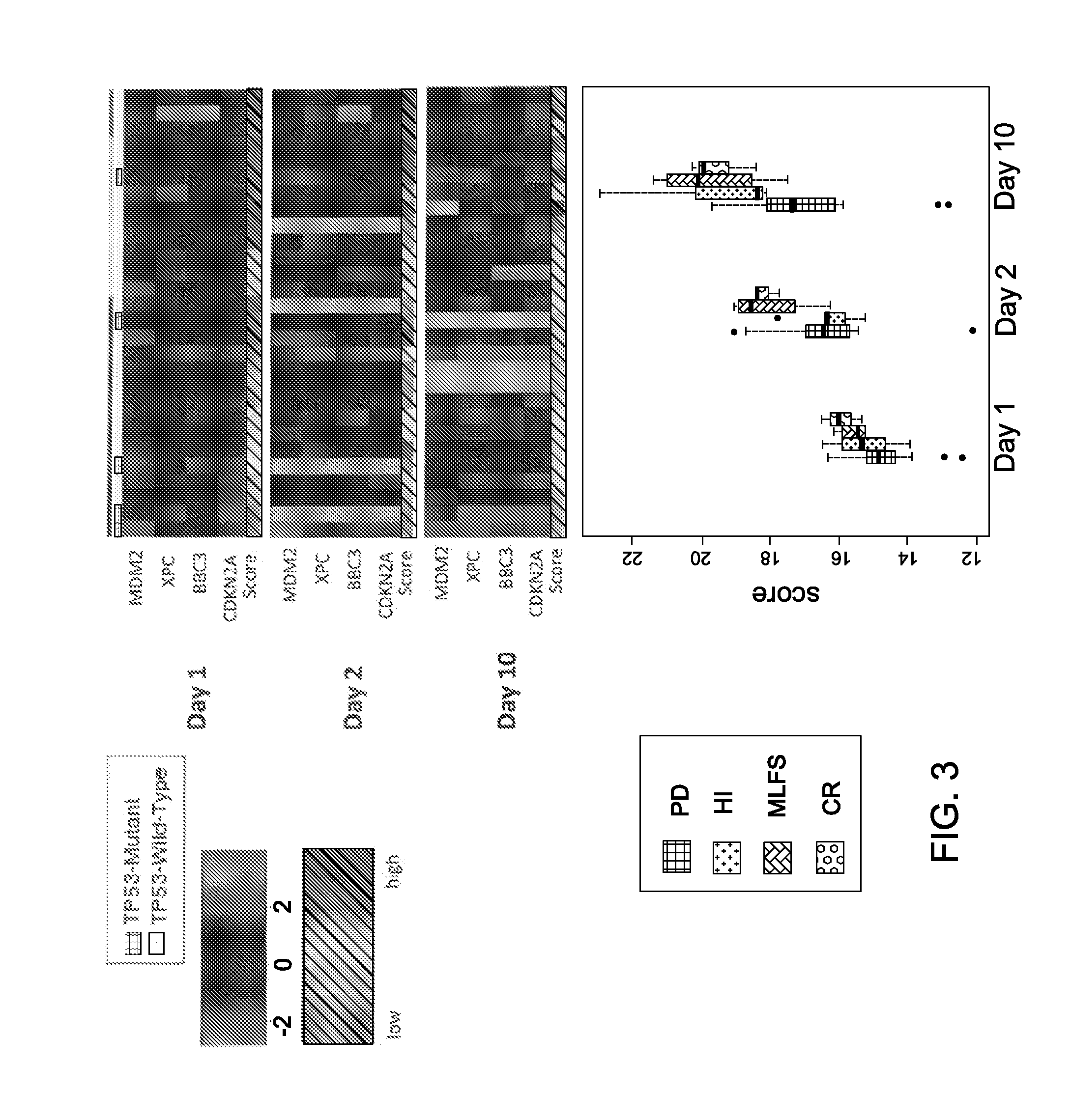 Mrna-based gene expression for personalizing patient cancer therapy with an MDM2 antagonist