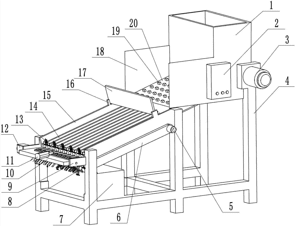 Cone snail tail removing device