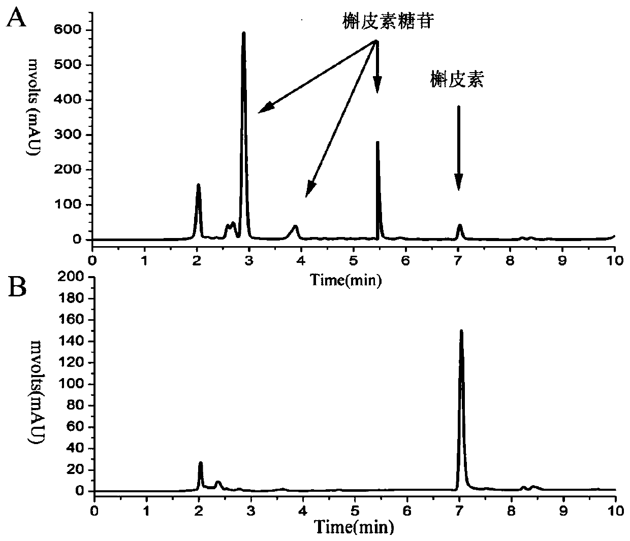 Sucrose phosphorylase mutant Q345F with glycosylation to quercetin