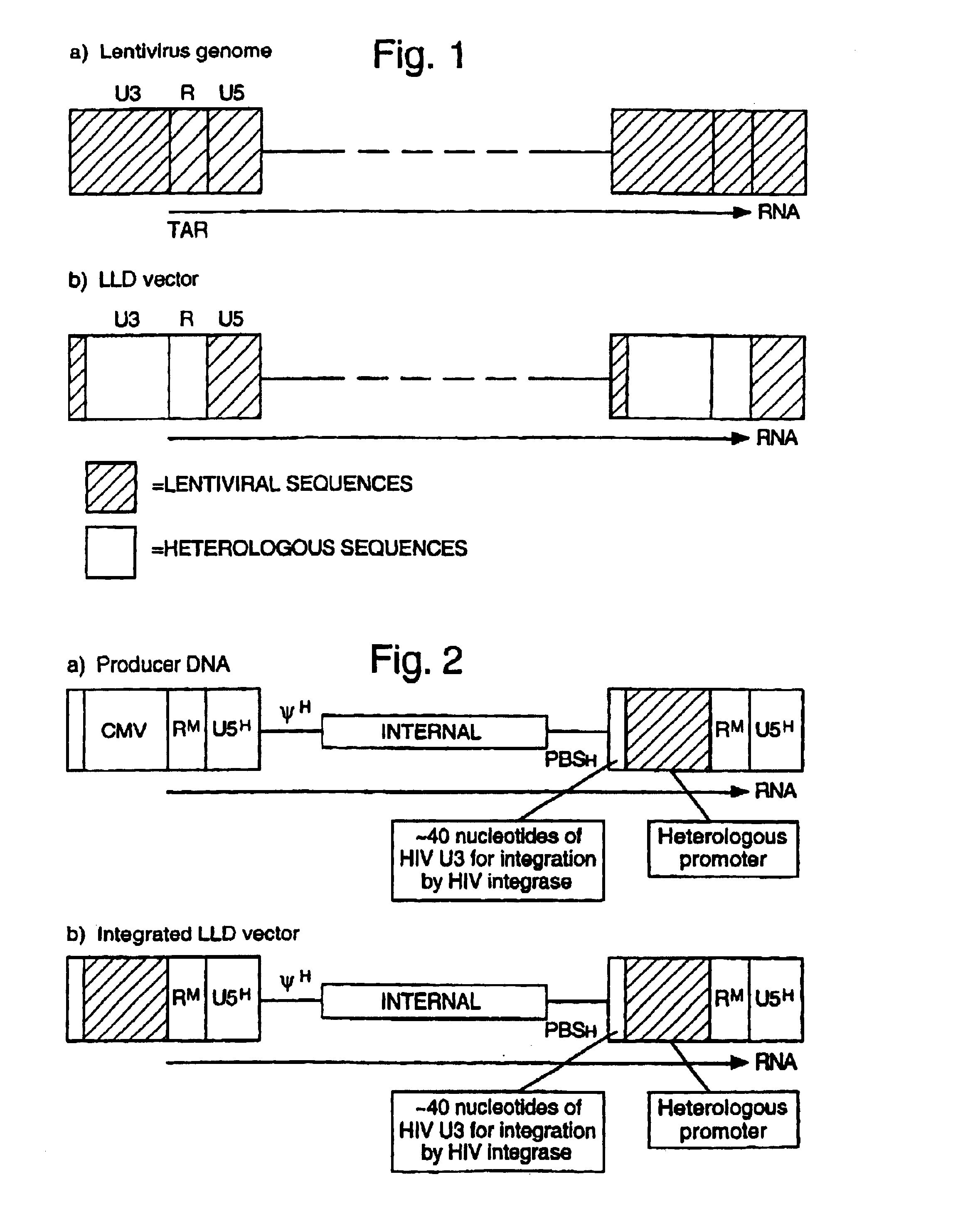 Lentiviral LTR-deleted vector