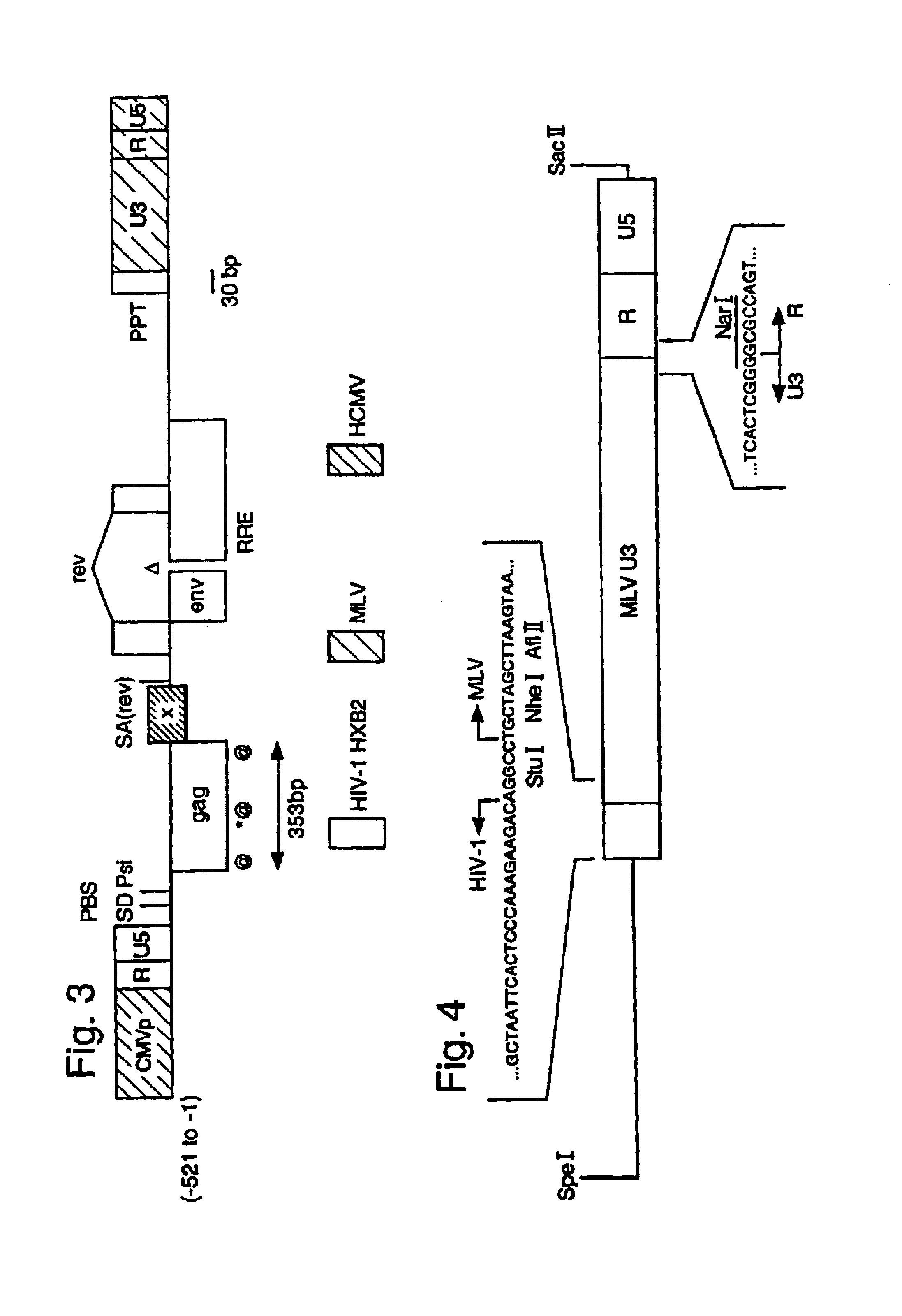 Lentiviral LTR-deleted vector