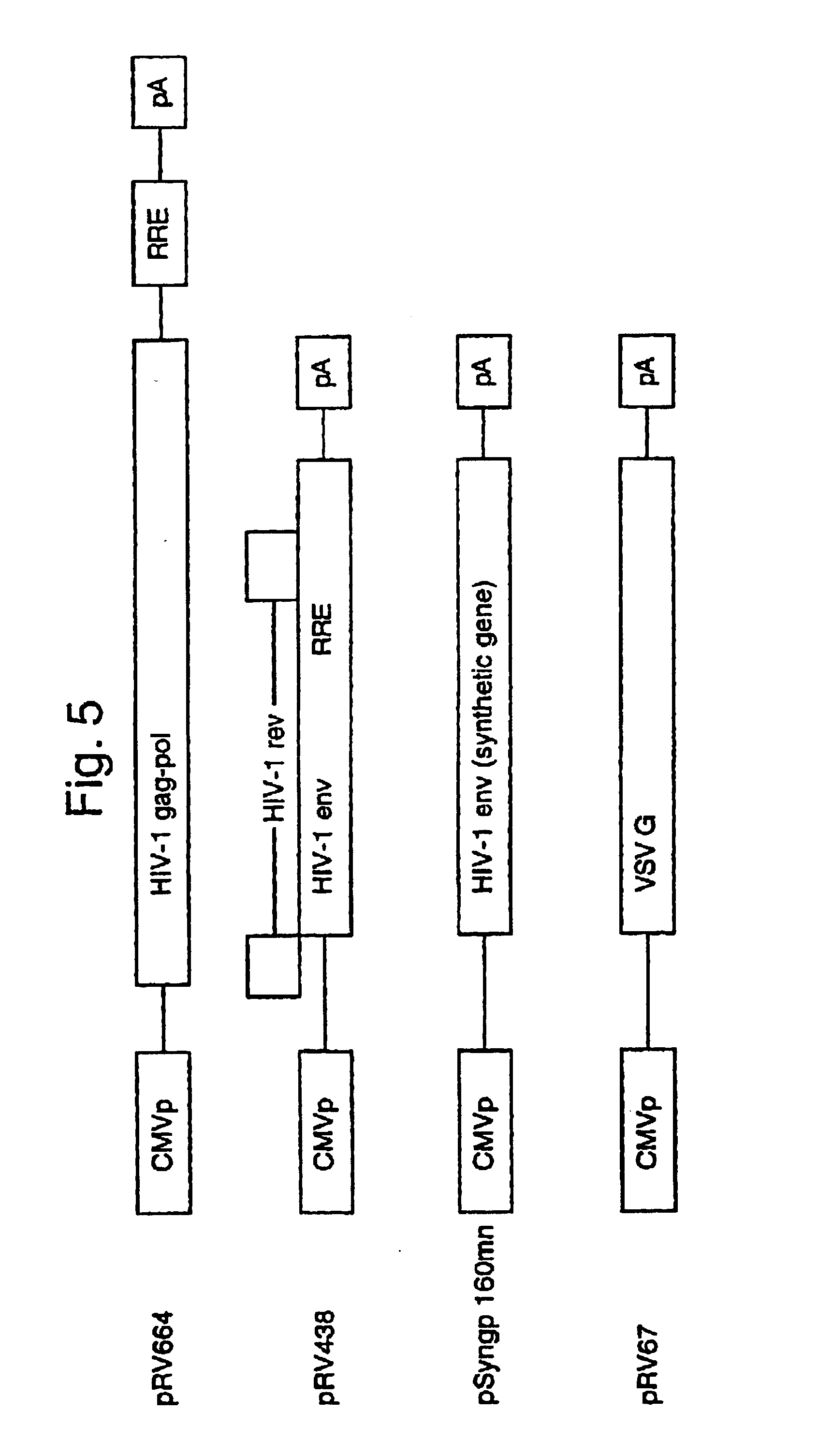 Lentiviral LTR-deleted vector