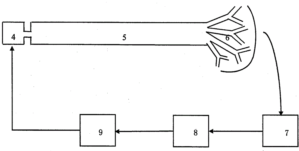 Multi-mode driven carrying system applicable to space flight