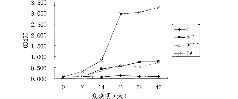 Sheep aphthovirus Asial type multi-epitope recombinant vaccine and preparation method thereof