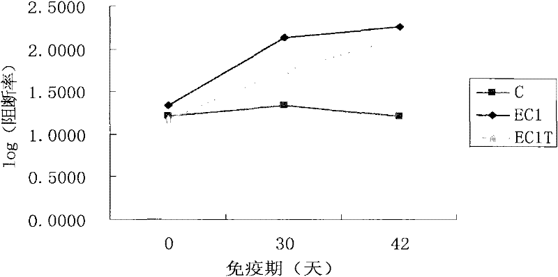 Sheep aphthovirus Asial type multi-epitope recombinant vaccine and preparation method thereof