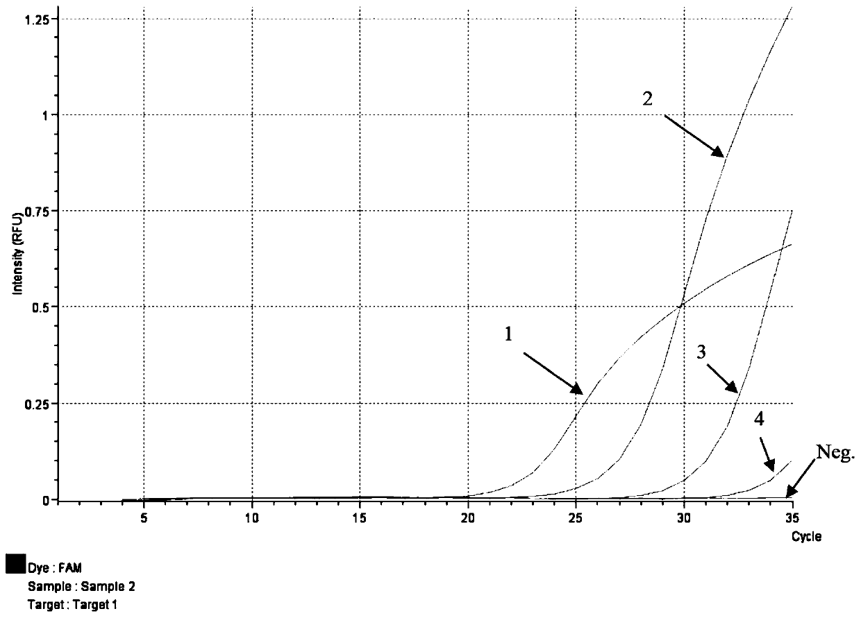 PCR primer group and kit for detecting African swine fever viruses based on double genes and application