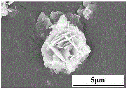 Method for preparing Ti-MWW molecular sieve film