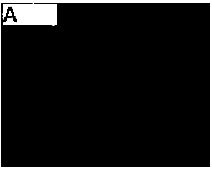 Method of improving killing effect of CIK cells on cancer cells