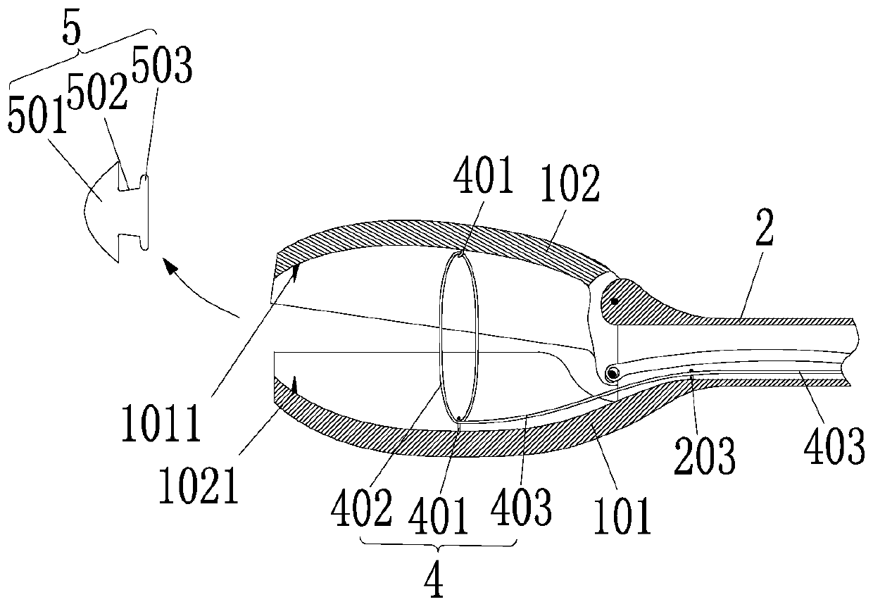 Muscle tendon introducing forceps