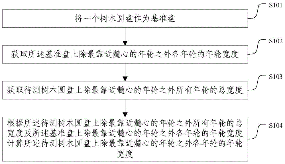 Annual ring width measurement method and system