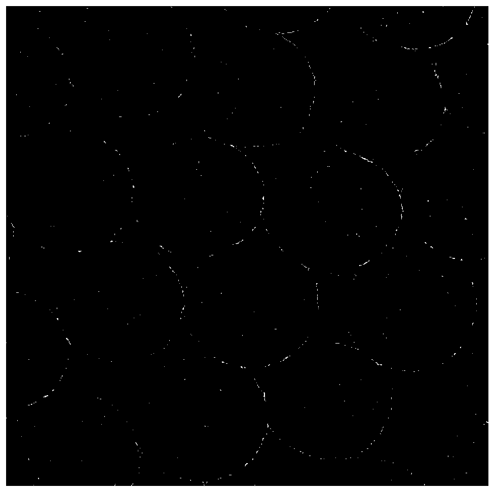 monodisperse hollow structure green tio  <sub>2</sub> Materials and Preparation Methods