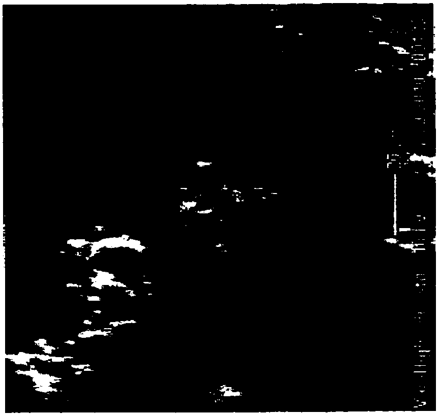 Systems and methods for detecting and monitoring proteolysis of protein matrices