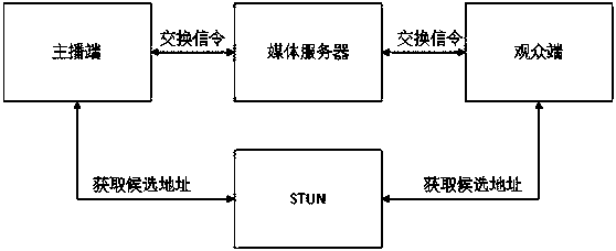 Plug-in-free live broadcast system and method based on browser