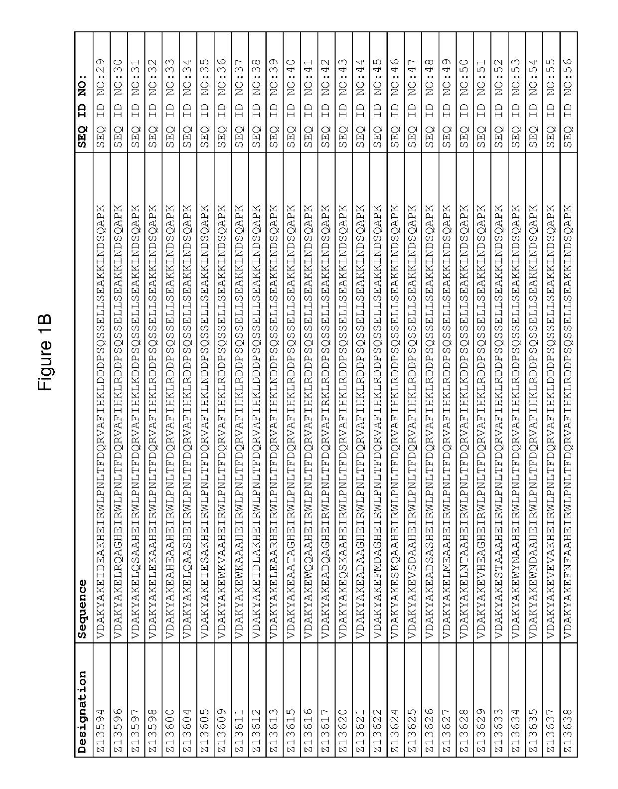 Neonatal Fc receptor binding dimer and methods of use