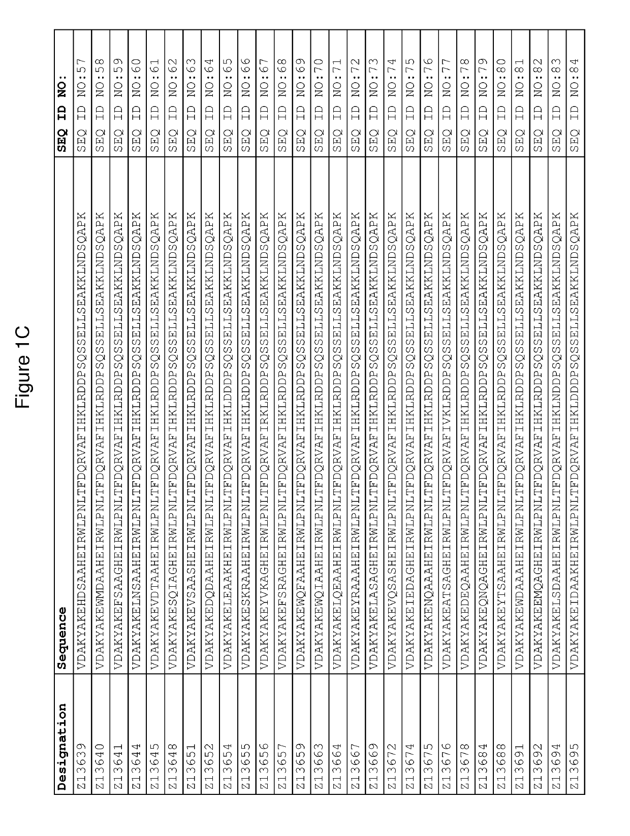 Neonatal Fc receptor binding dimer and methods of use