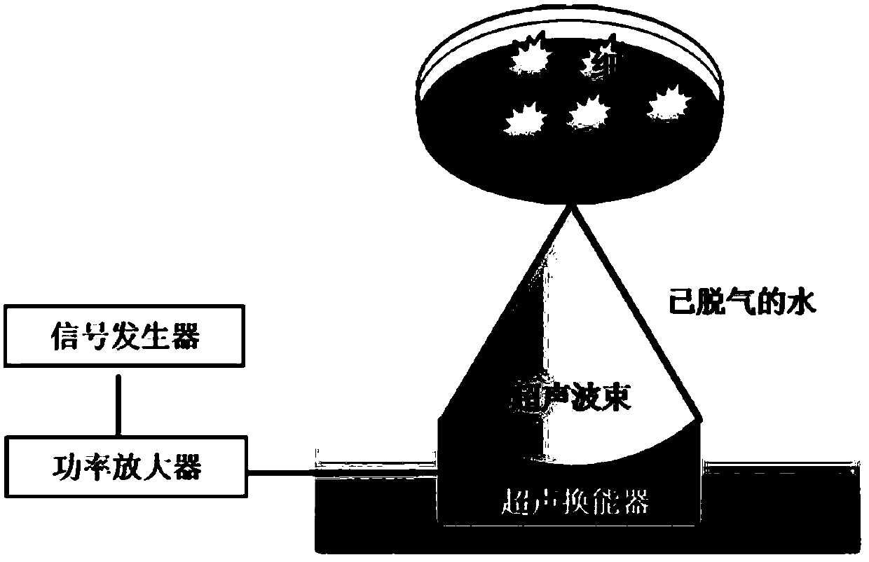 Application of noninvasive ultrasonic processing of cells to preparation of exosomes, exosomes and preparation method and application of exosomes