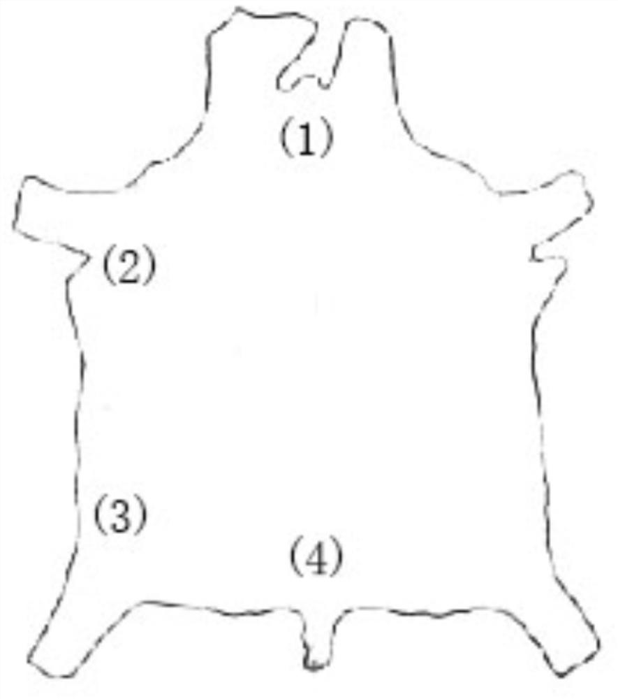 A kind of anhydrous chrome tanning process