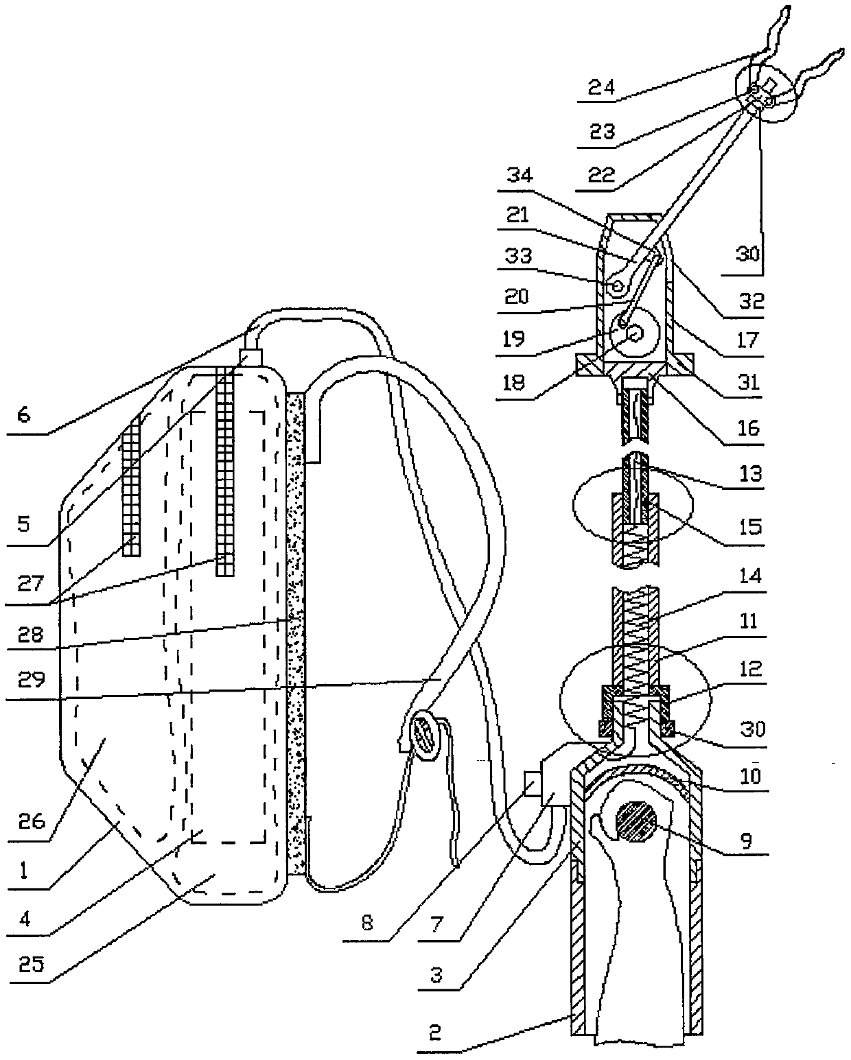 A device for picking nuts