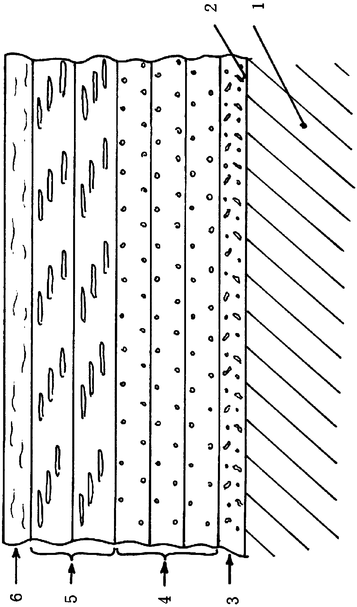 Anti-corrosion layer system, anti-corrosion bearing component and method of protecting a bearing component from corrosion