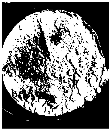 Preparation method of PCADK composite microspheres encapsulating apoptotic genes