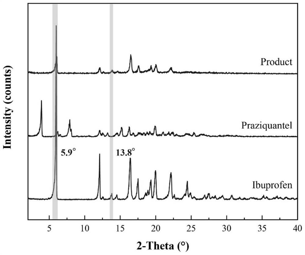 Ibuprofen-loaded praziquantel composite particle and preparation method thereof