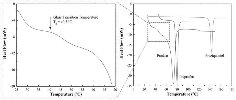 Ibuprofen-loaded praziquantel composite particle and preparation method thereof