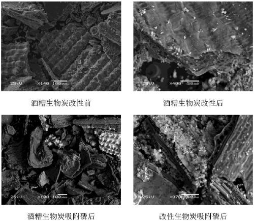 Phosphogypsum modified biochar method and application