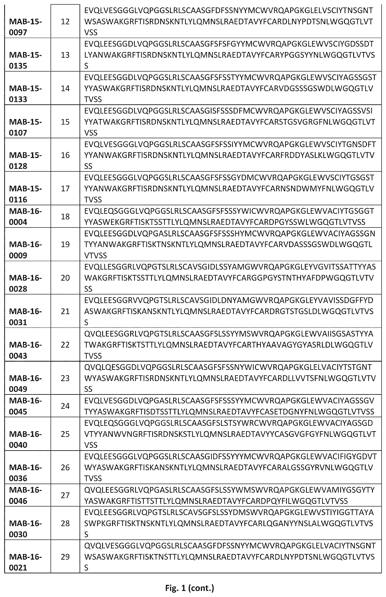 Humanized anti-IL-1R3 antibodies