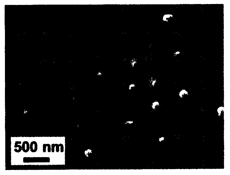 Amino-acid-based polyesteramine micelles and preparation method and application thereof