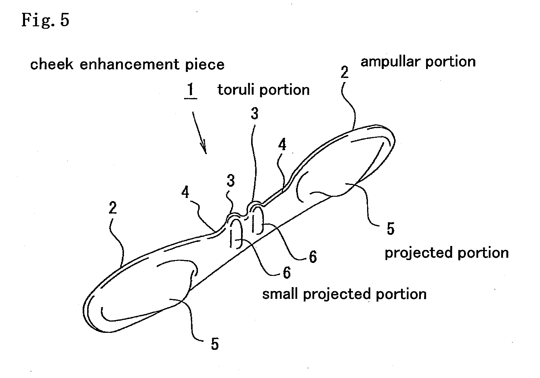 Mouthpiece for Flattening Wrinkles