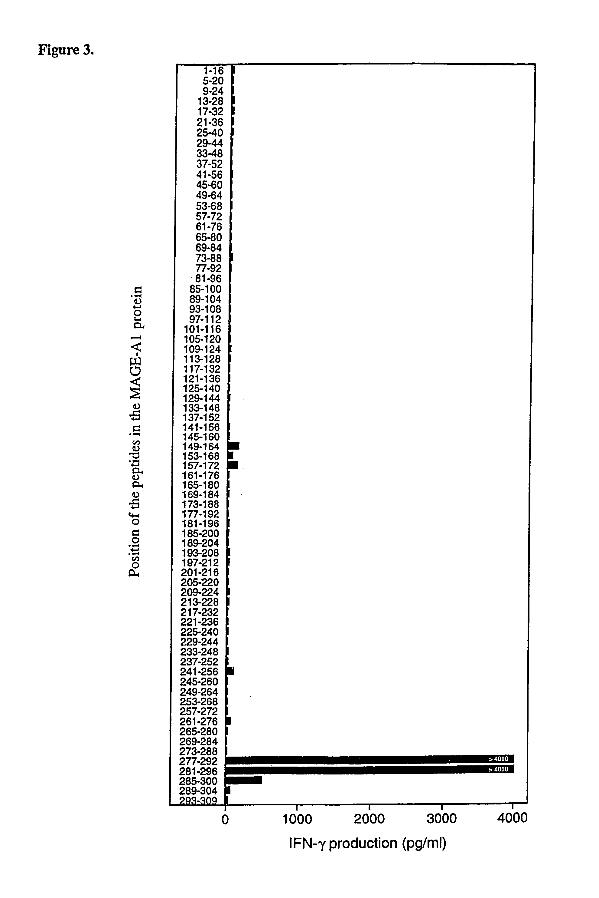 MAGE-A1 peptides presented by HLA class II molecules