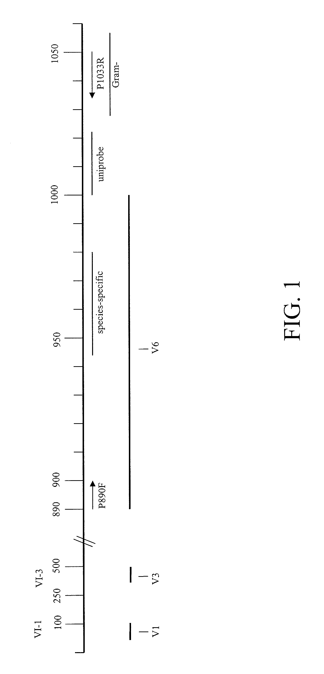 Methods for Identifying Eubacteria