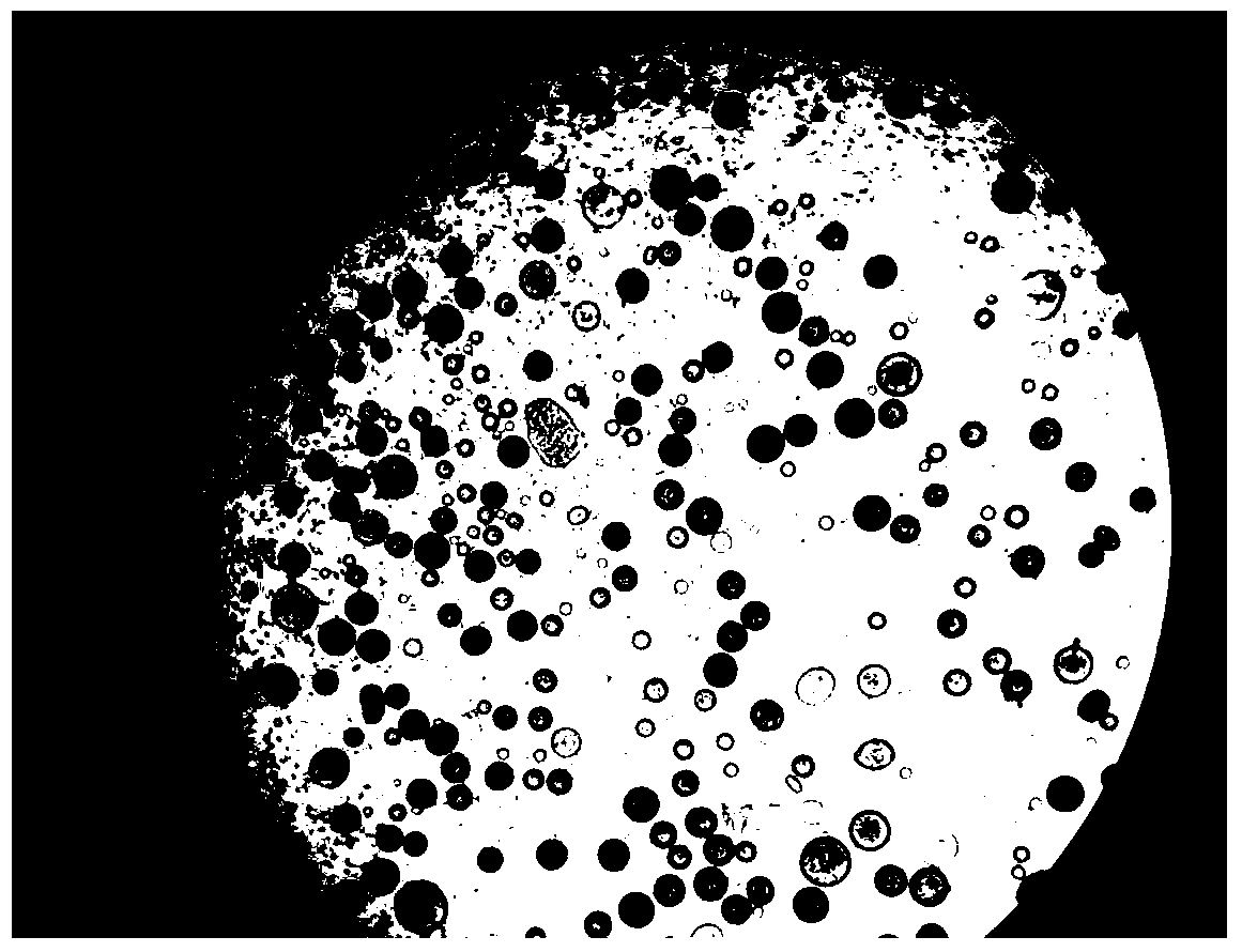 A kind of peg-plga sustained-release microspheres loaded with buprenorphine and preparation method thereof