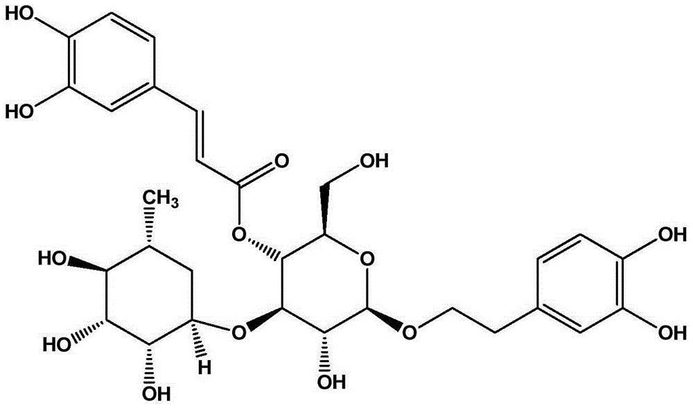 Method for preparing verbascoside standard product from callicarpa nudiflora leaf