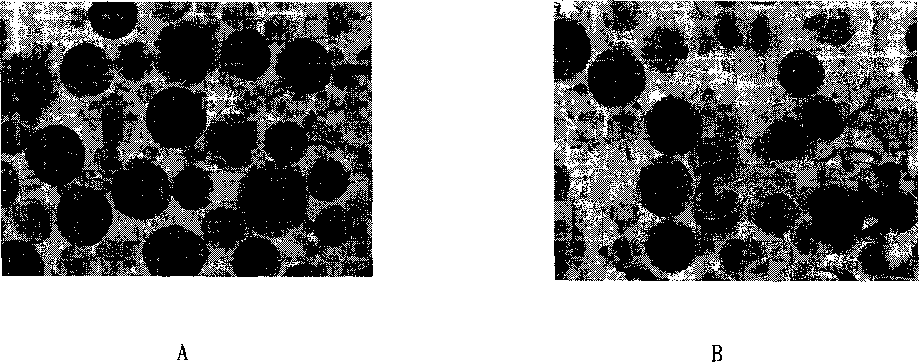 Double-template method hydroxyethyl cellulose modified alginate microsphere and its preparation method