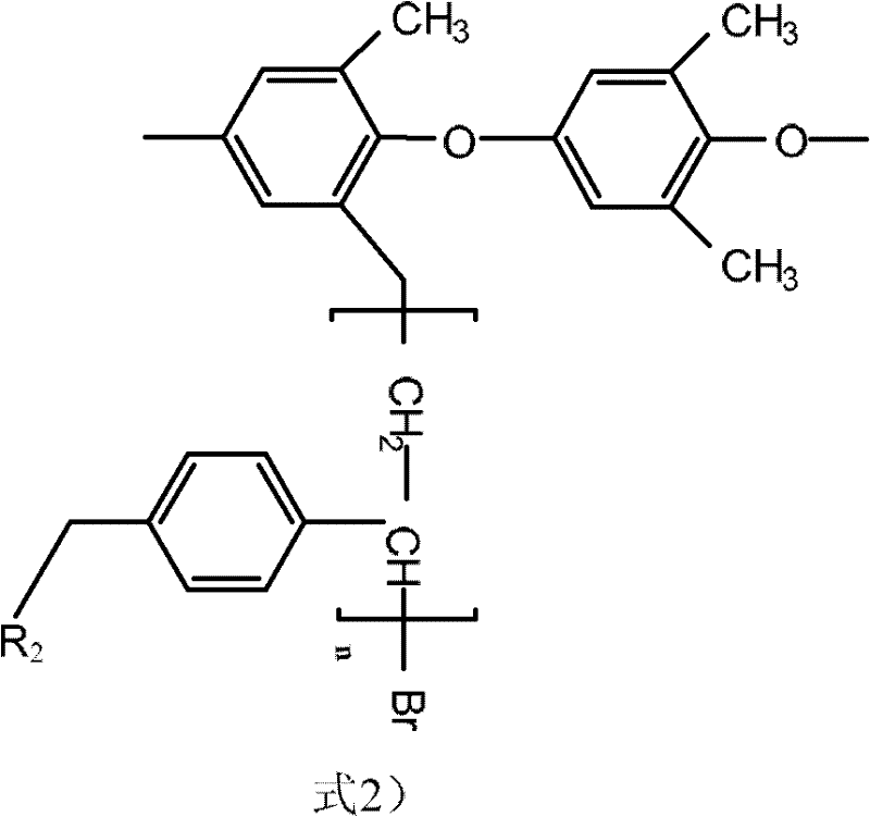 Homogeneous anion exchange membrane and preparation method thereof