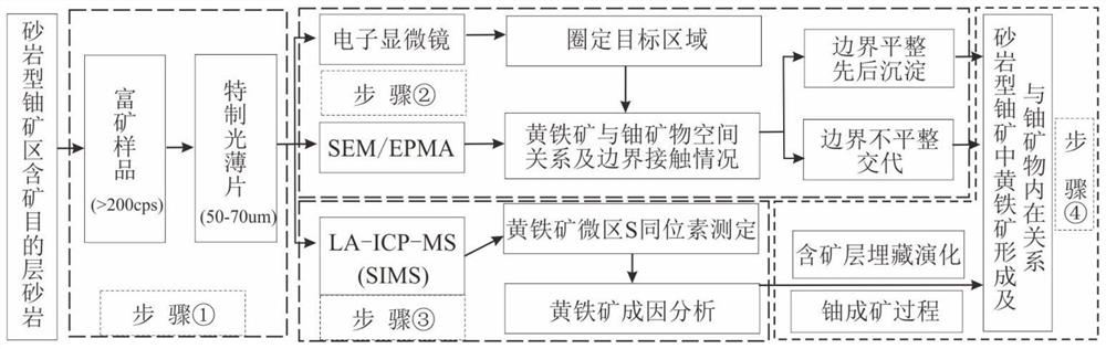 Geological method for determining internal relation between pyrite and uranium ore in sandstone-type uranium ore