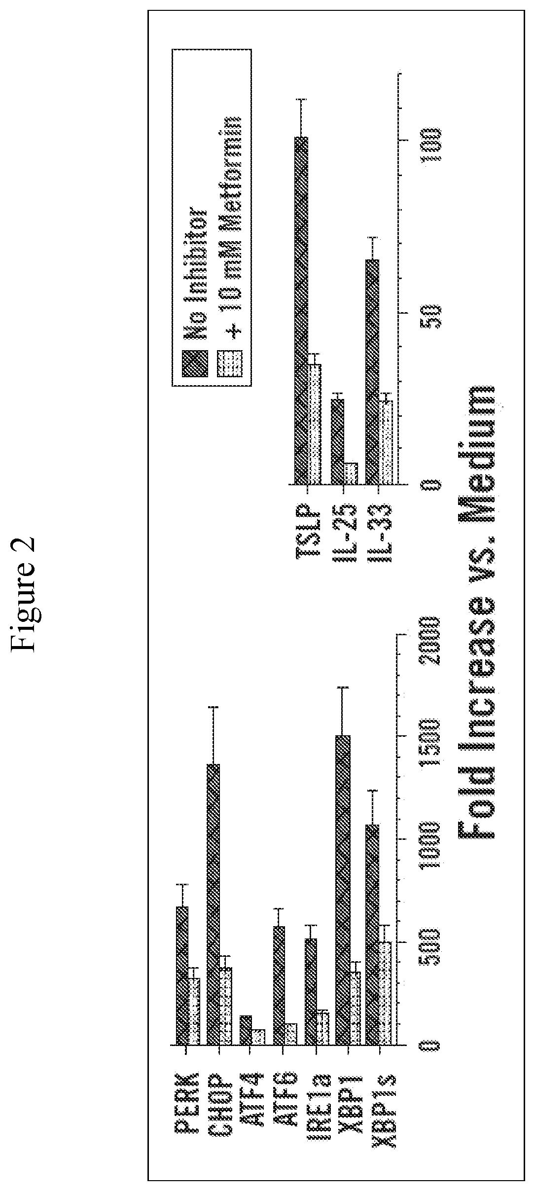 Inhibition of unfolded protein response for suppressing or preventing allergic reaction to food