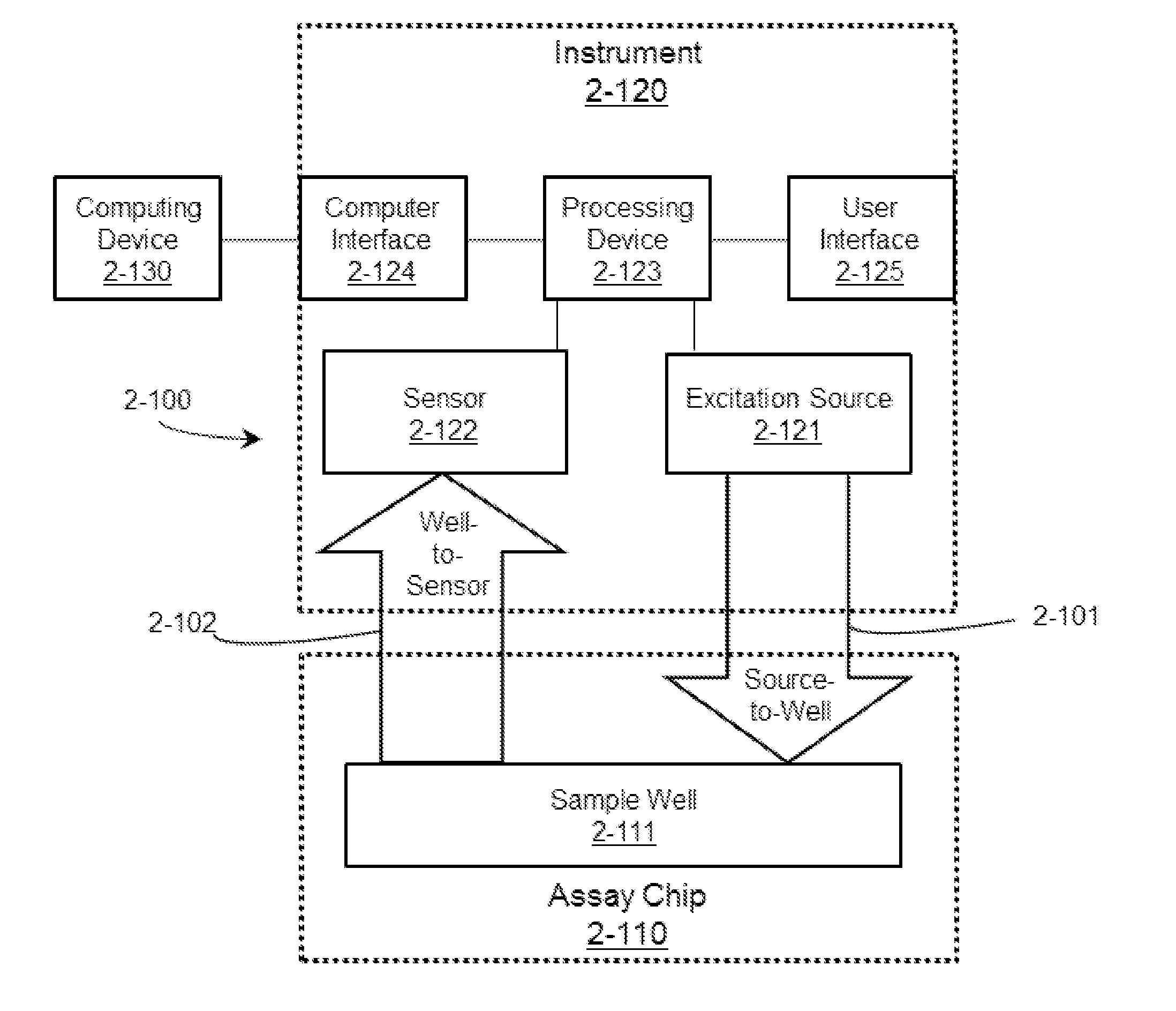 Optical system and assay chip for probing, detecting and analyzing molecule