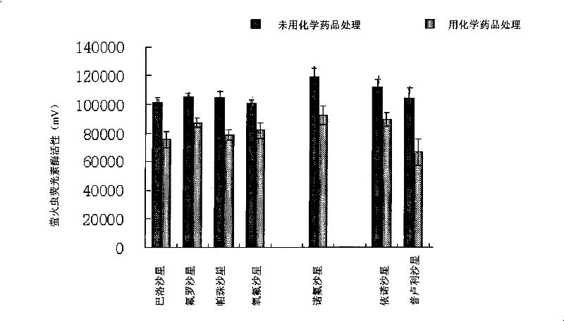 Composition for suppressing target gene expression