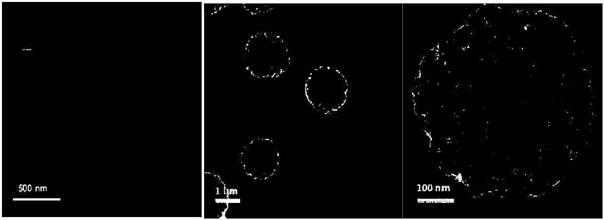 A kind of cobalt-doped cerium oxide nanomaterial with sheet structure and its preparation and application