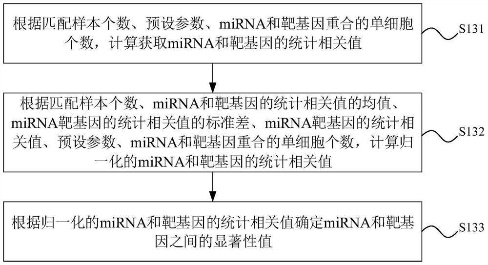 Identification method, device, equipment and storage medium of single-cell miRNA regulatory network