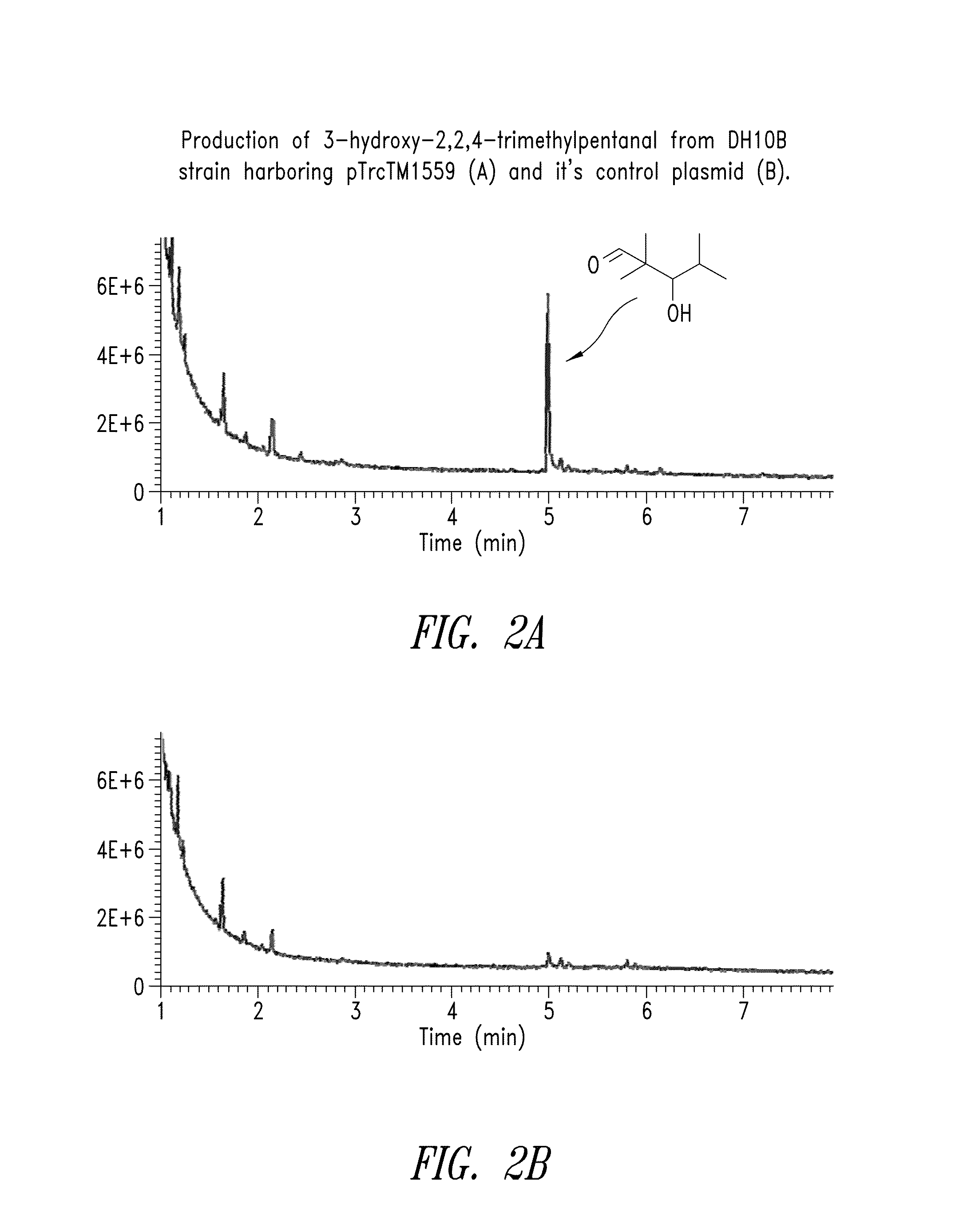 Biosynthesis of commodity chemicals